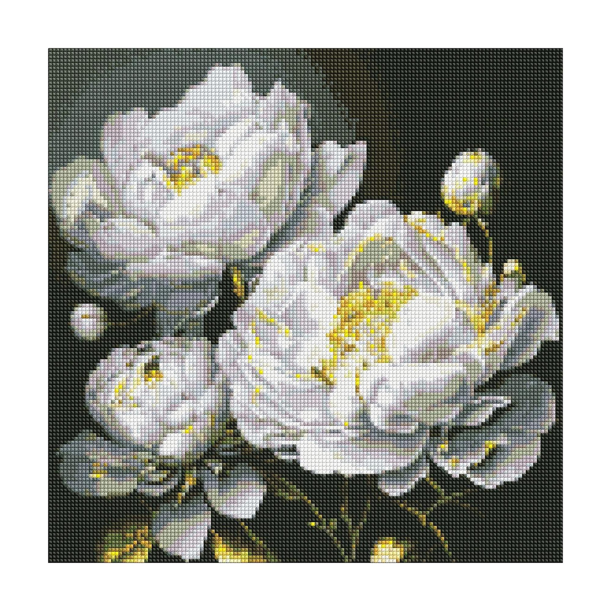 Алмазна мозаїка Ideyka Бездоганна краса, 40*40 см (AMO7609)